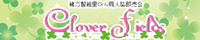 Clover Fields